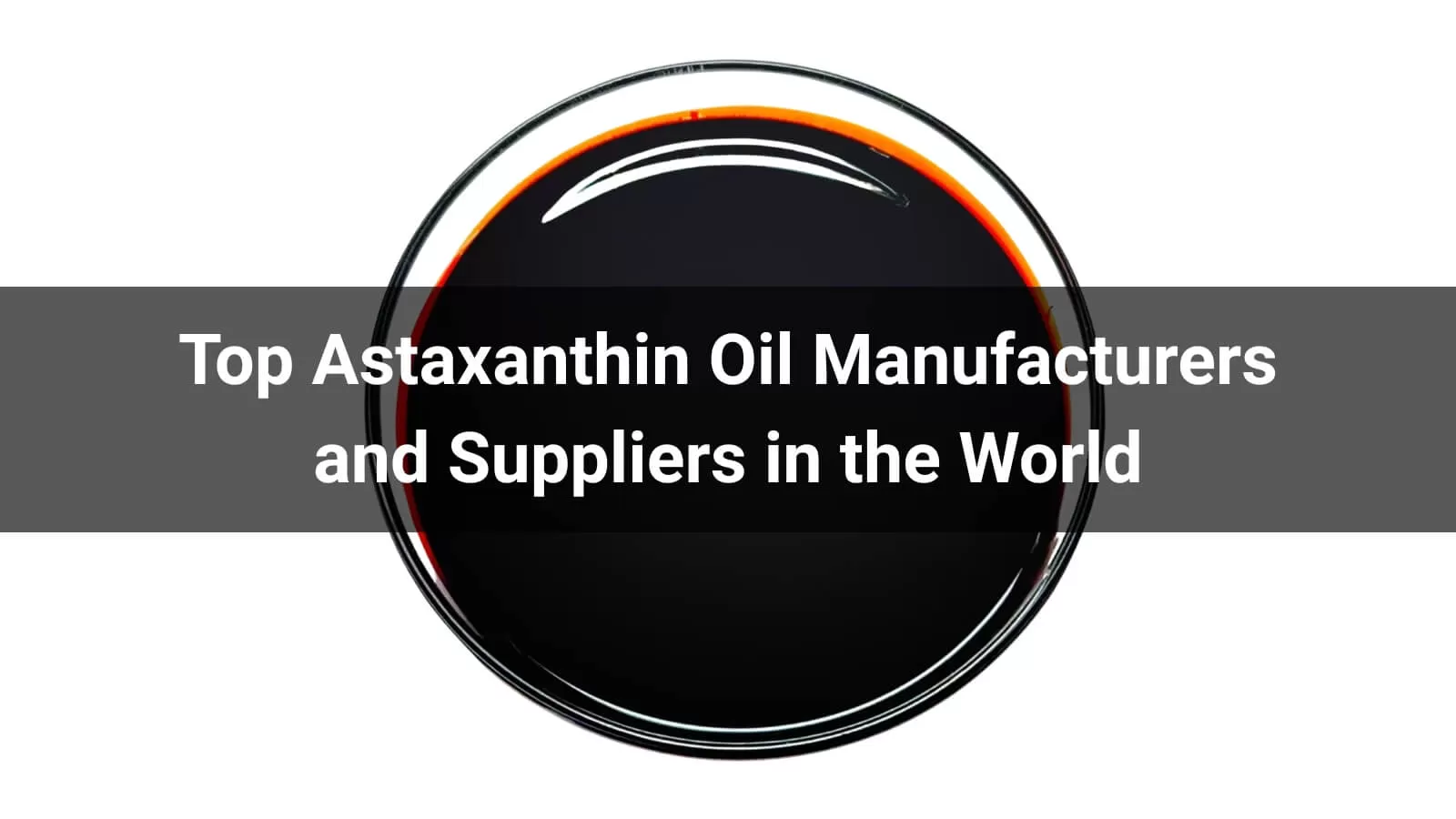 Top Astaxanthin Oil Manufacturers and Suppliers in the World